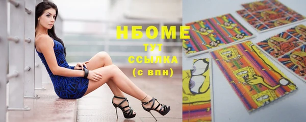 стаф Анива