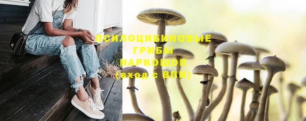 амф Кодинск
