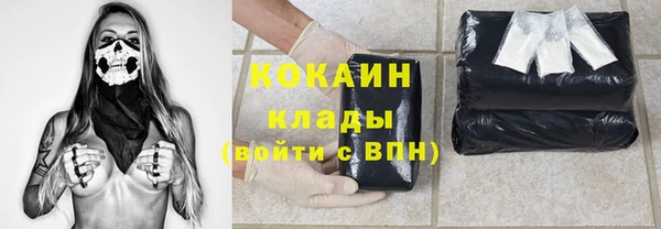 стафф Корсаков