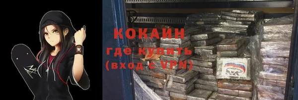 индика Козельск