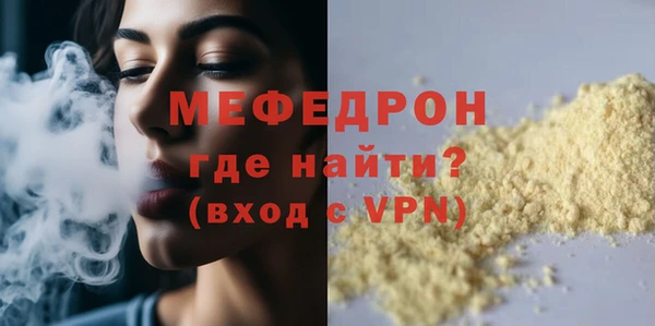 индика Козельск