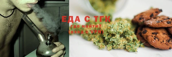 индика Козельск