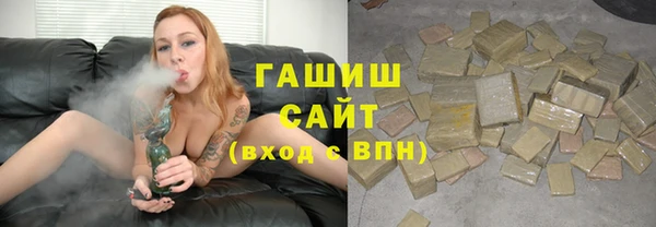 индика Козельск