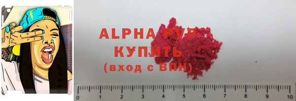 стаф Анива
