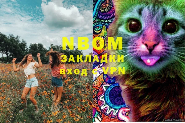 стафф Корсаков