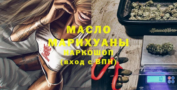 индика Козельск