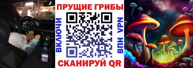 Купить где  Онега  Галлюциногенные грибы Cubensis 