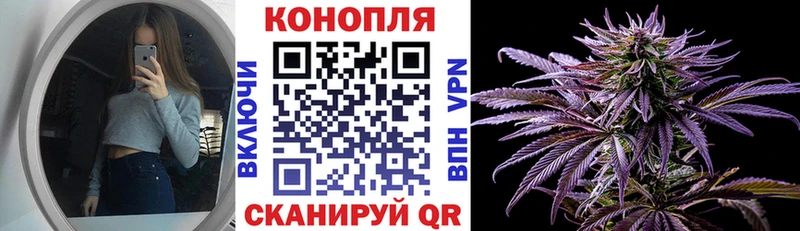 Купить где  Онега  Шишки марихуана гибрид 
